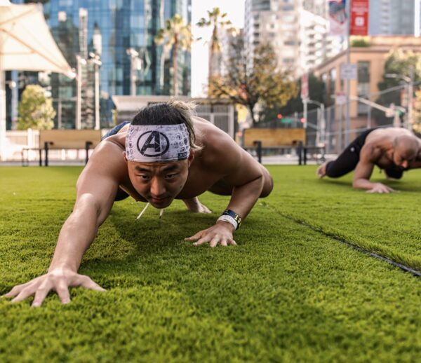 Intro to Animal Flow Classes